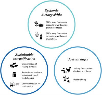 Climate change, public health, and animal welfare: towards a One Health approach to reducing animal agriculture’s climate footprint